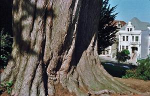 San Francisco, Los Alamos tér dísze.