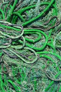 Halászháló 2.