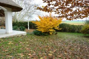 Tanya őszi színekben.