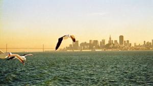 Valóban Golden Gate.