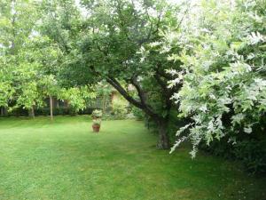 A zöld számtalan árnyalata.